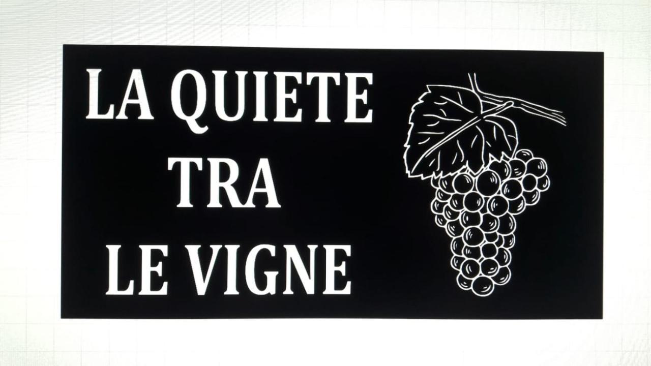 La Quiete Tra Le Vigne Tuscany 科莱萨尔韦蒂 外观 照片
