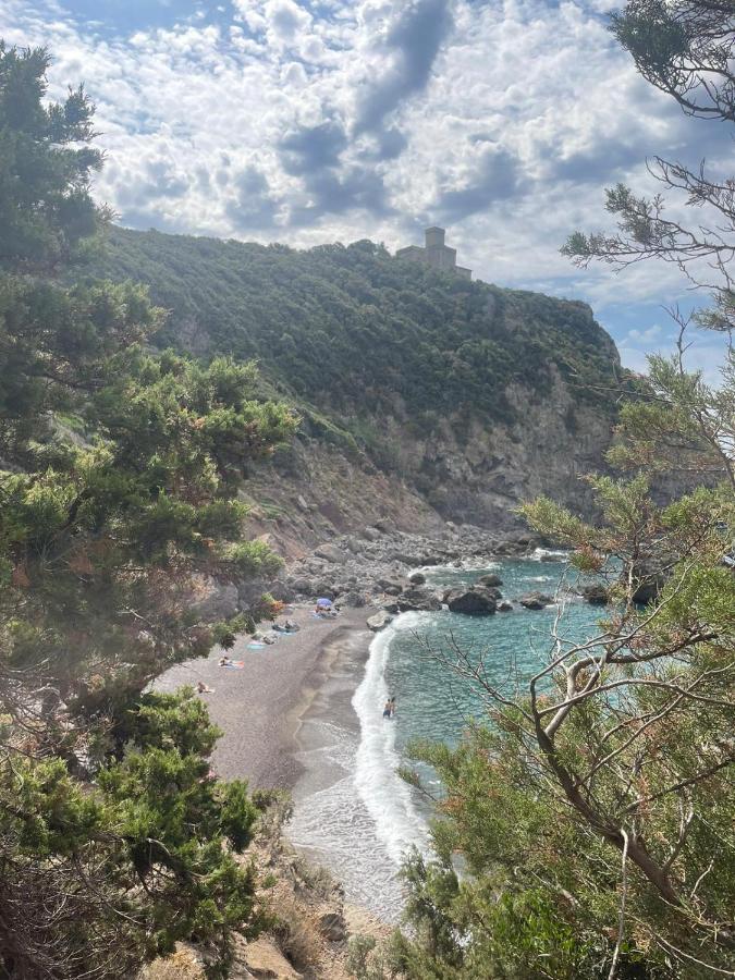 La Quiete Tra Le Vigne Tuscany 科莱萨尔韦蒂 外观 照片
