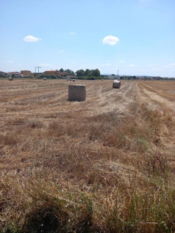La Quiete Tra Le Vigne Tuscany 科莱萨尔韦蒂 外观 照片