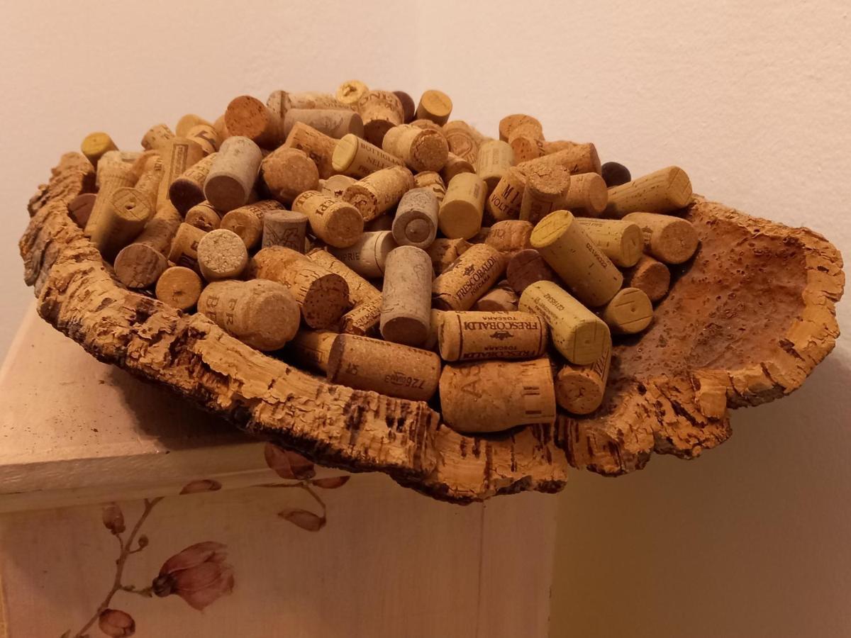 La Quiete Tra Le Vigne Tuscany 科莱萨尔韦蒂 外观 照片