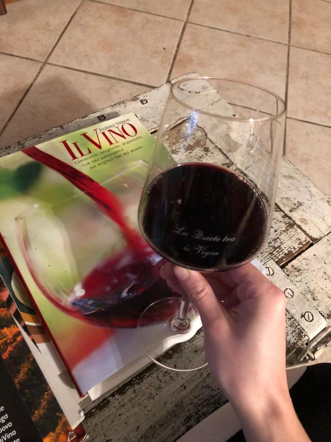 La Quiete Tra Le Vigne Tuscany 科莱萨尔韦蒂 外观 照片