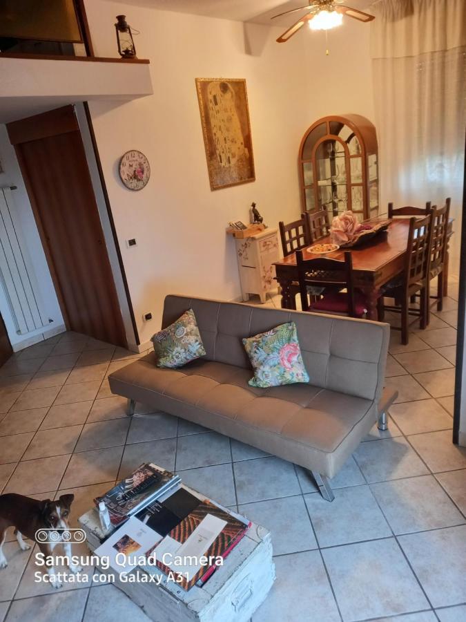 La Quiete Tra Le Vigne Tuscany 科莱萨尔韦蒂 外观 照片